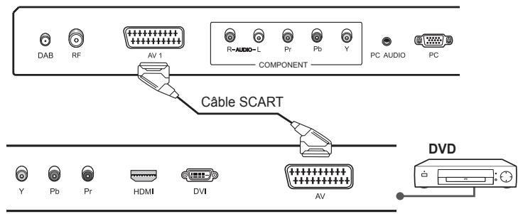 HUMAX LGB-22DTT - Utilisation du cable SCART - 1