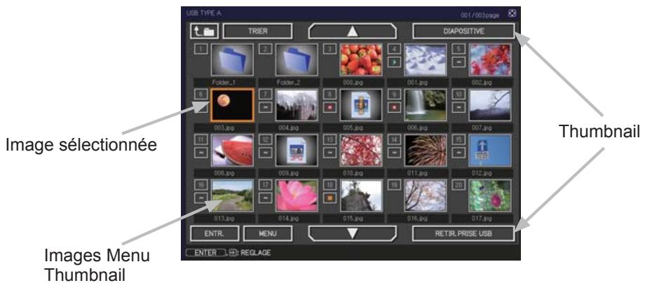 HITACHI CP-X4011N - [Formats de fichiers Supportés] - 1