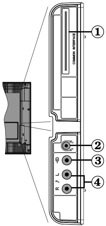 HITACHI L22DP03 - Affichage des branchements - Connecteurs latéraux - 1
