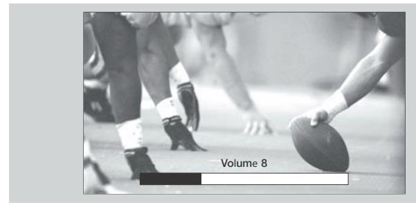 HITACHI P50S601 - Touche de VOLUME (VOL) et de SOURDINE (MUTE) - 1