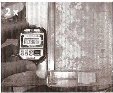 QUIGG DMV-UH1977 - PATES AUX CEUFS - 5