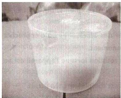 QUIGG DMV-UH1977 - PATES AUX CEUFS - 1