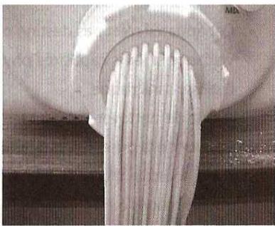 QUIGG DMV-UH1977 - PATES AUX CEUFS - 4