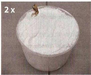 QUIGG DMV-UH1977 - PATES AUX CEUFS - 3