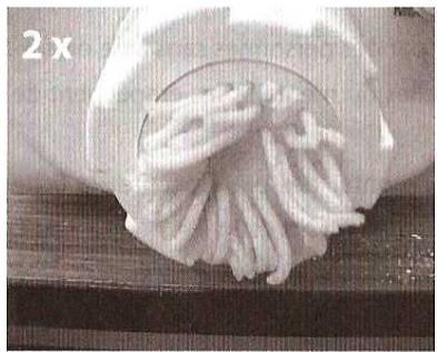 QUIGG DMV-UH1977 - PATES AUX CEUFS - 3