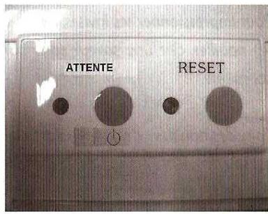 QUIGG DMV-UH1977 - PATES AUX CEUFS - 4