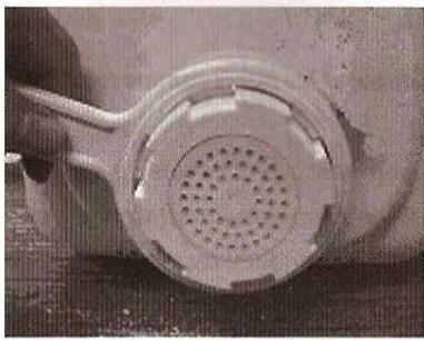 QUIGG DMV-UH1977 - PATES AUX CEUFS - 2