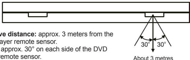 LEXIBOOK DVDP1SP - Using the remote control - 1