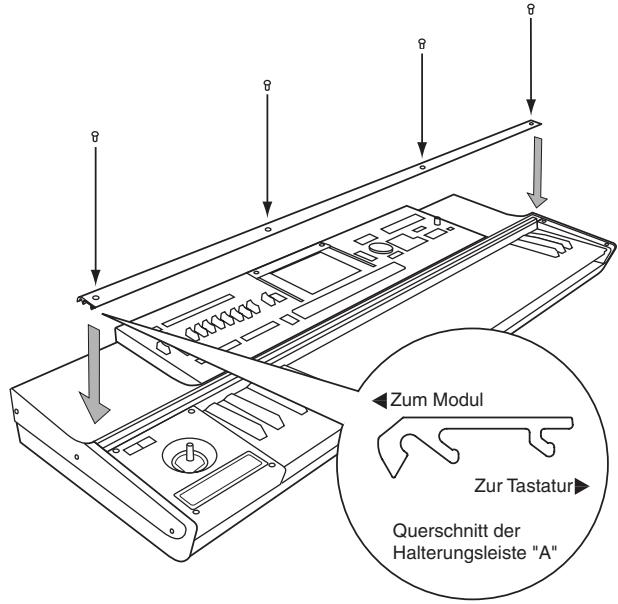 KORG KEYBOARD ASSEMBLY 61KEY - Installieren des Moduls - 4