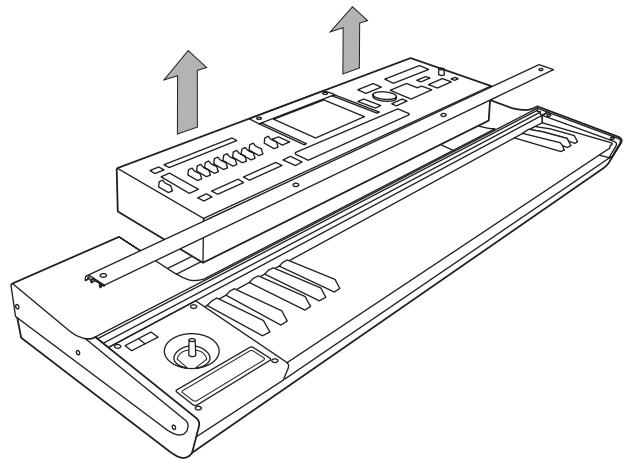 KORG KEYBOARD ASSEMBLY 61KEY - Removing the module - 6