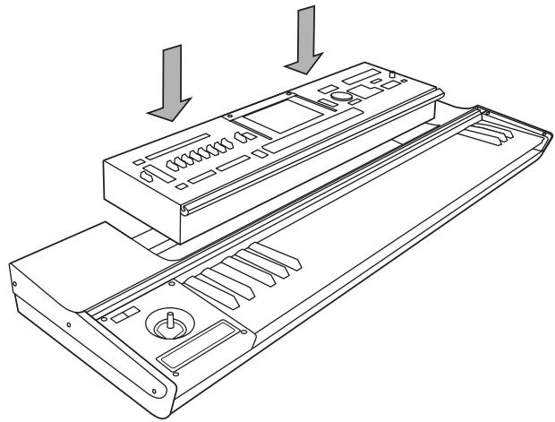 KORG KEYBOARD ASSEMBLY 61KEY - Installieren des Moduls - 2