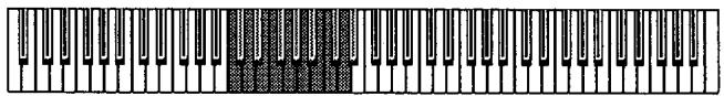 KORG SP100 - Le MIDI - 1