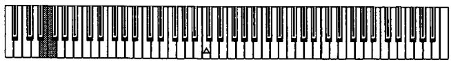 KORG SP100 - Le MIDI - 2