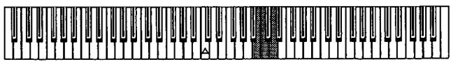 KORG SP100 - Accordage fin - 1