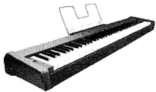KORG SP100 - Polyphonie - 3
