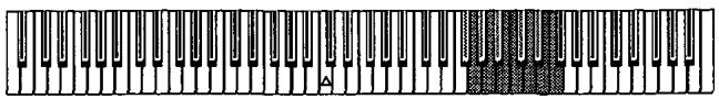 KORG SP100 - Transposition - 1