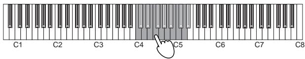 KORG KSERIES - Courbe de velocité - 1