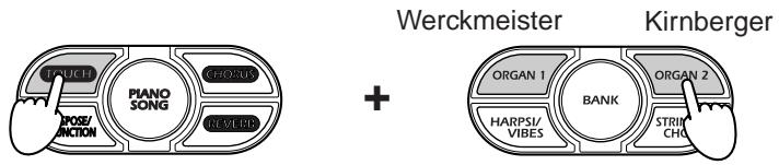 KORG NC500 - To select the Werckmeister or Kirnberger temperament, hold down TOUCH and press ORGAN 1 or ORGAN 2. - 1
