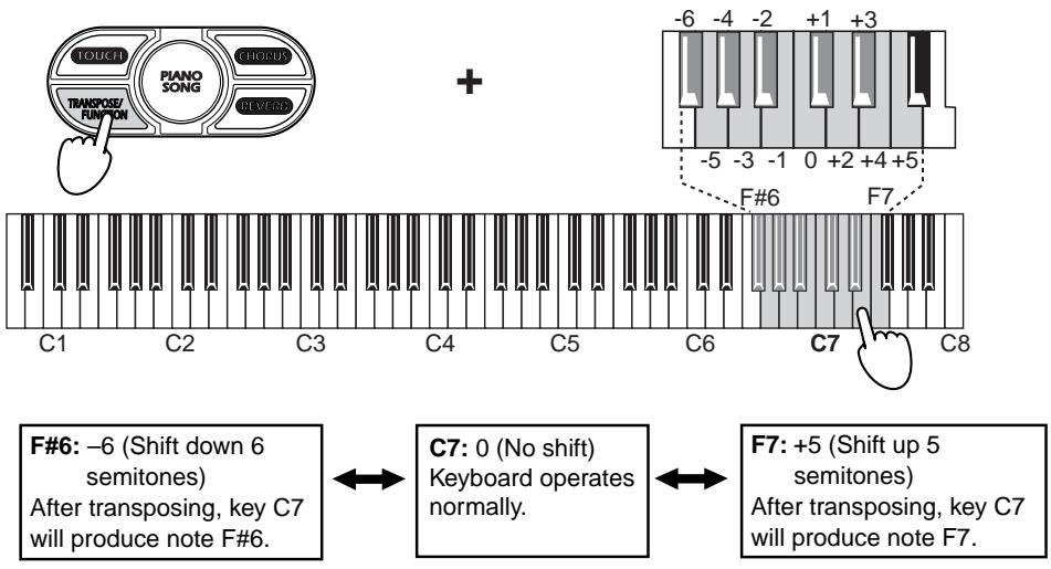KORG NC500 - Hold down TRANSPOSE/FUNCTION and press a key from F#6 and F7 to transpose the keyboard as desired. - 1