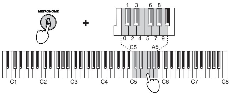 KORG NC500 - Changing the Tempo by Numerical Input - 1