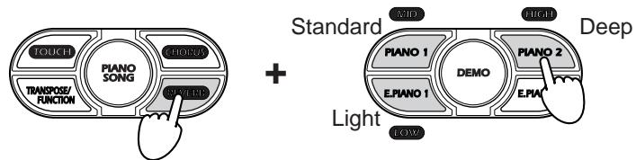 KORG NC500 - Using the Reverb and Chorus Effects - 2