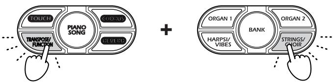 KORG NC500 - Saving Data - 1