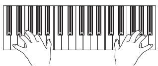 KORG PA500 - Lancez l'enregistrement en appuyant sur le bouton start/stop. - 1