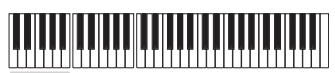 KORG PA500 - Enregistrer les types de pianotage (ou strumming) - 1