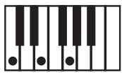 KORG PA500 - NTT (note transposition table) - 5