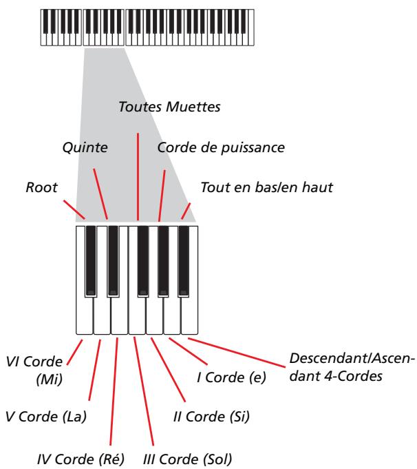 KORG PA500 - Enregistrer des séquences individuelles - 1