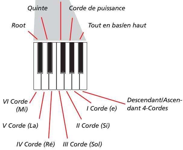 KORG PA500 - Enregistrer des séquences individuelles - 2