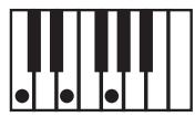 KORG PA500 - NTT (note transposition table) - 1