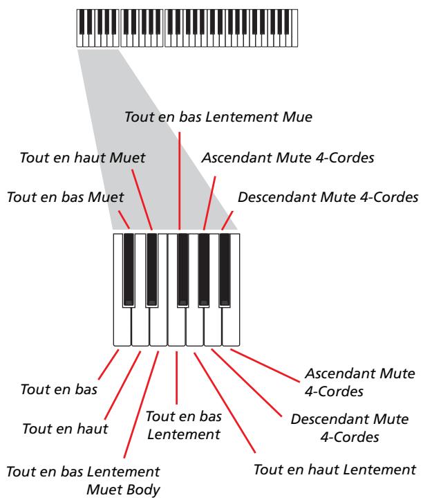 KORG PA500 - Enregistrer les types de pianotage (ou strumming) - 1