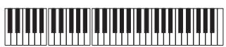 KORG PA500 - Enregistrer des séquences individuelles - 1