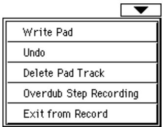KORG PA500 - Menu de la page - 1