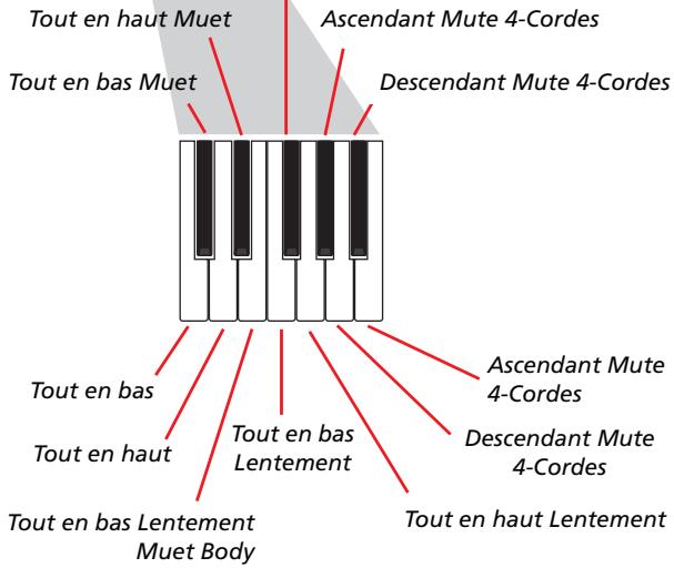 KORG PA500 - Enregistrer les types de pianotage (ou strumming) - 2
