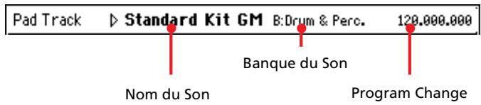 KORG PA500 - Case d'infos de pad track - 1