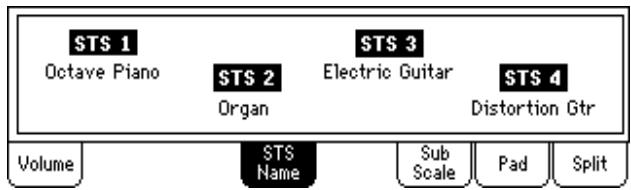 KORG PA588 - Afficheur du nom du STS - 1
