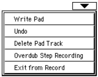 KORG PA588 - Menu de la page - 1