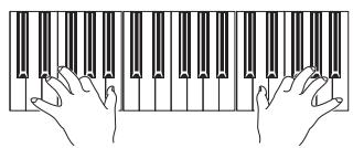 KORG PA588 - Jouez sur le clavier. - 1