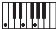 KORG PA588 - NTT (note transposition table) - 4