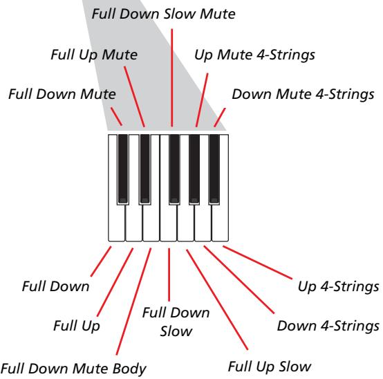 KORG PA588 - Enregistrer les types de pianotage (ou strumming) - 2