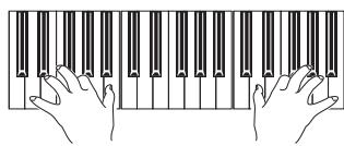 KORG PA588 - Single touch settings (STS) - 2