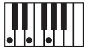 KORG PA588 - NTT (note transposition table) - 1