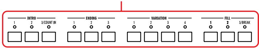 KORG PA588 - Sélectionnez tous les style elements que vous désirez utiliser avant de commencer à jour. - 1