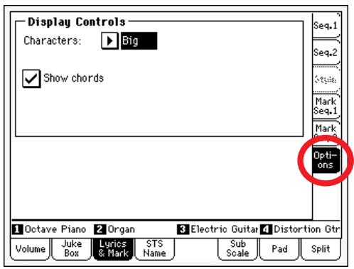 KORG PA588 - Onglet option latéral - 1