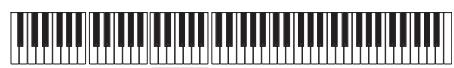KORG PA588 - Enregistrer des séquences individuelles - 1