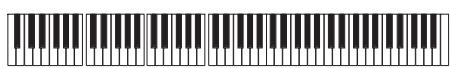 KORG PA588 - Enregistrer les types de pianotage (ou strumming) - 1