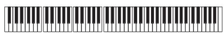KORG PA588 - Enregistrer les types de pianotage (ou strumming) - 1