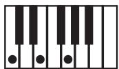 KORG PA588 - NTT (note transposition table) - 5